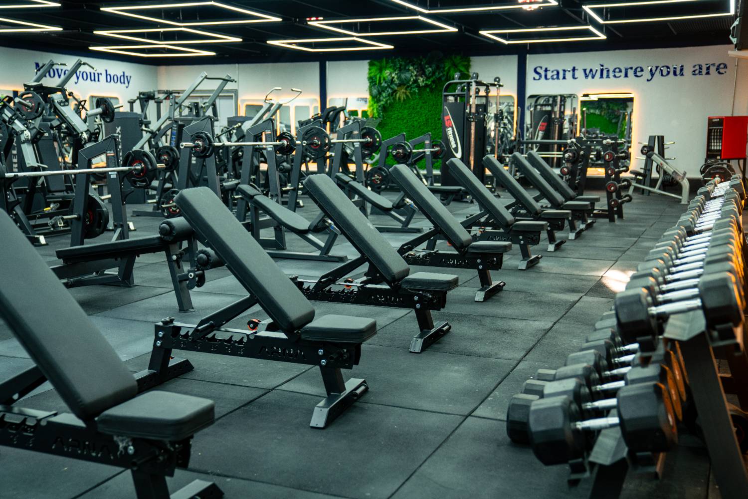 Modern gym equipment